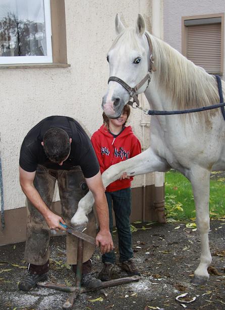 Hufschmid
