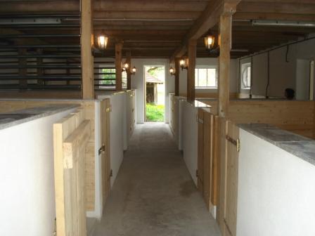 Blick in den Stall