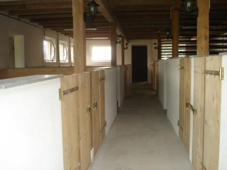 Blick in den Stall