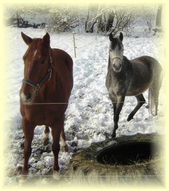 Freggy und Soraya